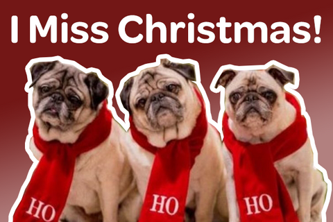 20 Merry Christmas Memes That Will Make You Miss Christmas | Love to Sing