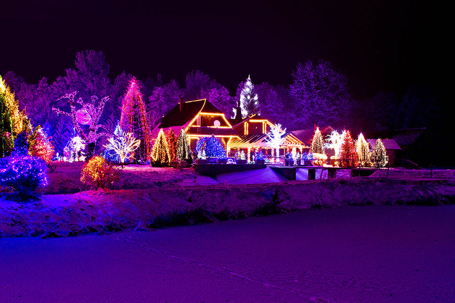 25 of the Best Christmas House Light Decorations and Garden Displays
