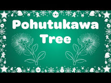 Load and play video in Gallery viewer, Pohutukawa Tree Instrumental Video Song Download