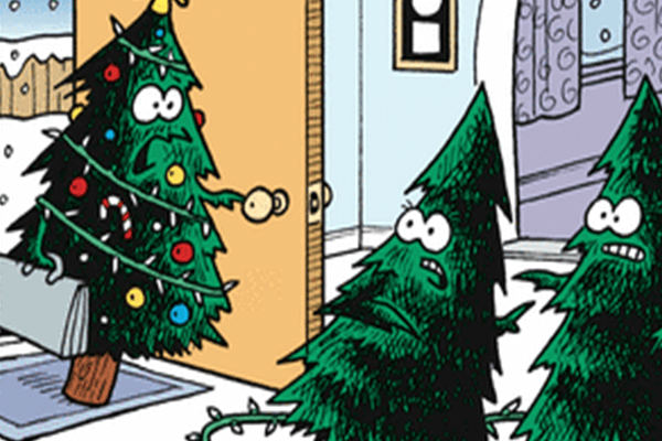 The 15 Funniest Christmas Tree Memes