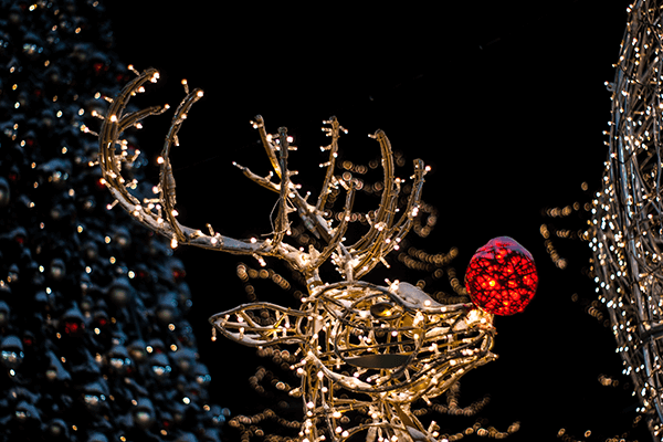 What are the lyrics to 'Rudolph the Red Nosed Reindeer' and who wrote it?
