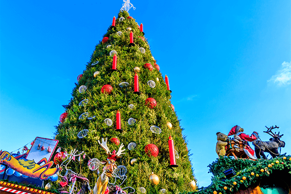 O Christmas Tree: the lyrics and the meaning of the song