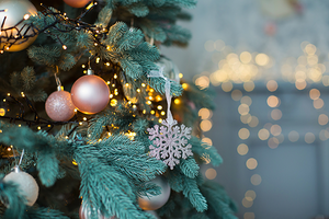 Why We Love Christmas Trees | Love to Sing