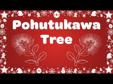 Load and play video in Gallery viewer, Pohutukawa Tree Video Song Download
